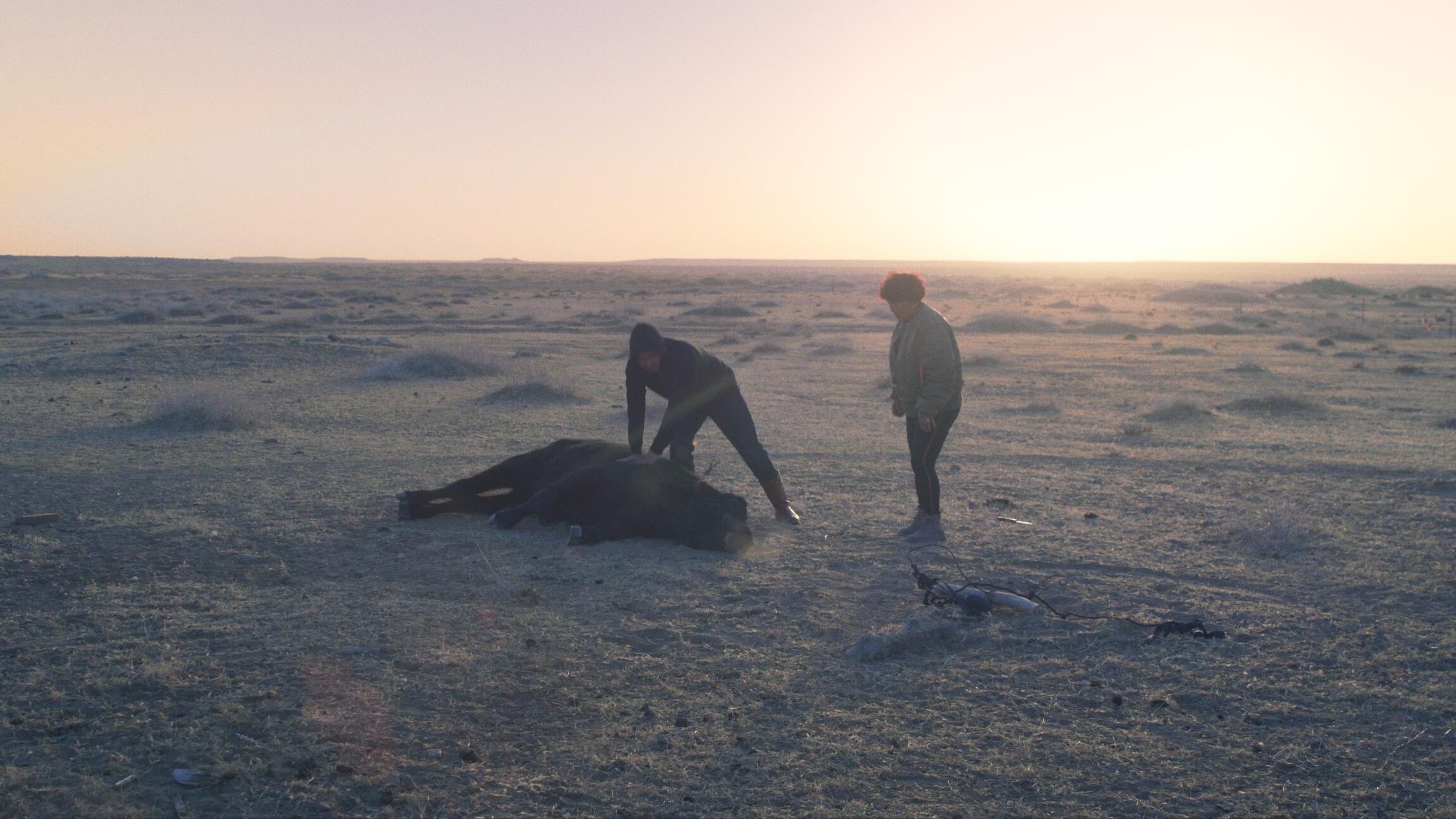 Terres rudes, vies rudes